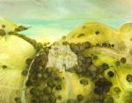 Day Out [Manorbier Castle]&nbsp;&copy;&nbsp;2026&nbsp;Lynda Jones