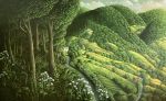 At the edge of the Forest&nbsp;&copy;&nbsp;2026&nbsp;Lynda Jones