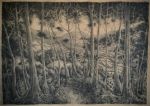 A view from a hill&nbsp;&copy;&nbsp;2026&nbsp;Lynda Jones