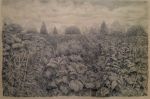 Westbury Beds&nbsp;&copy;&nbsp;2026&nbsp;Lynda Jones